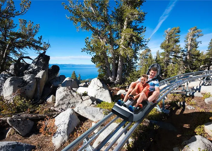 Steps To Heavenly Lake & More Tahoe Woods #101